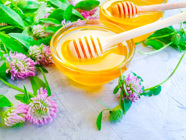 Ilustrasi madu semanggi Foto: Dok.Shutterstock