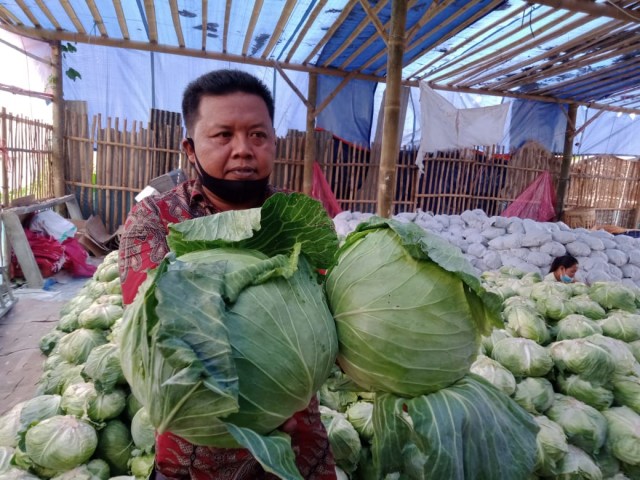 Andrea Subhan. Foto: Rizal Adhi