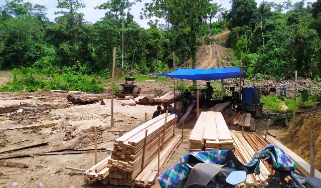 Kayu olahan ilegal turut disita dalam penangkapan 5 pembalak liar di Aceh Timur. Foto: Polres Aceh Timur