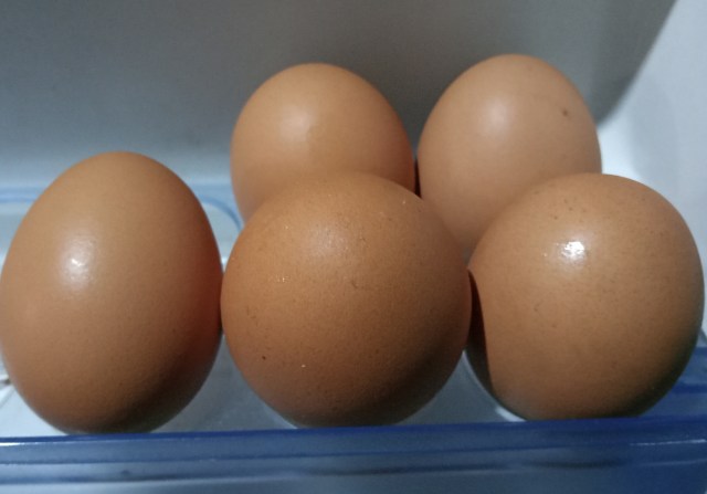 Kandungan protein hewan juga terdapat pada telur. Foto: Masruroh/Basra
