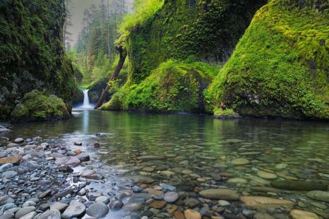 Ilustrasi alam. Foto: iStock