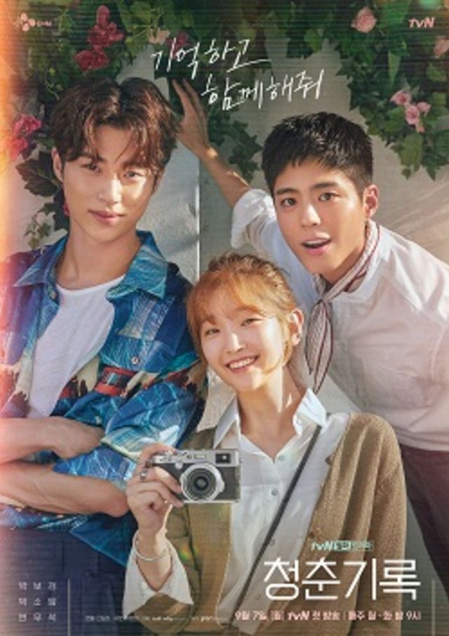 Poster Drama Record of Youth. Dok: Wikipedia