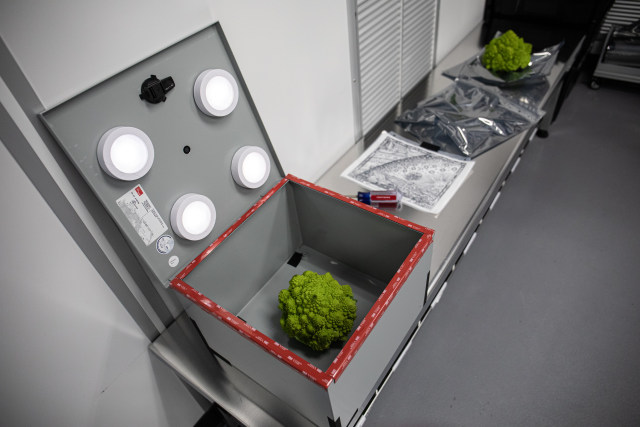 Үштік әйелдерді сиқытады жалаңаш әйелдер бөксесі