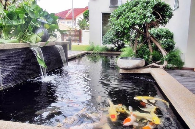 Ilustrasi Kolam Ikan Koi | Pinterest