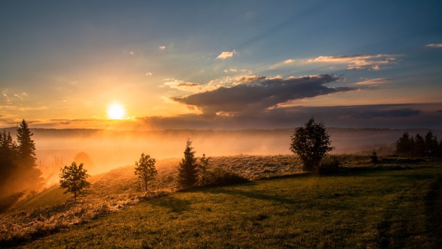 Ilustrasi pagi hari. Foto: Unsplash.com/davealmine