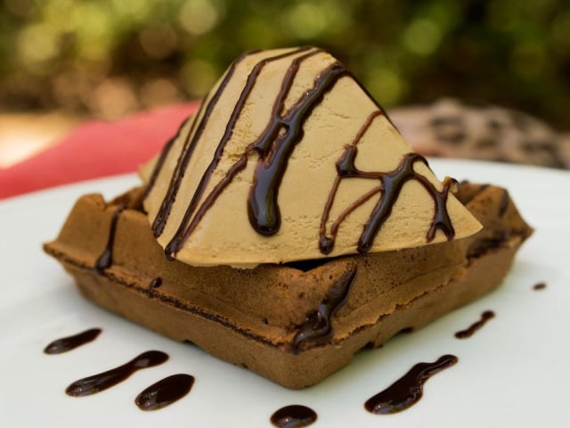 Menu chocolate waffles and espresso frozen mousse ala Disney Foto: Dok.Disney 