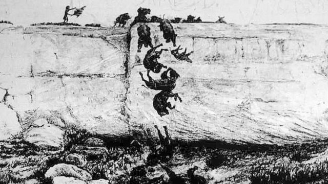 Wikimedia Commons