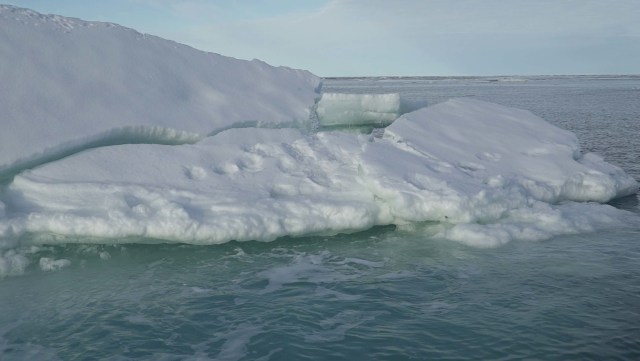 Bongkahan es terapung terlihat dari kapal ekspedisi The Greenpeace's Arctic Sunrise di Samudra Arktik, 14 September 2020. Foto: Natalie Thomas/Reuters