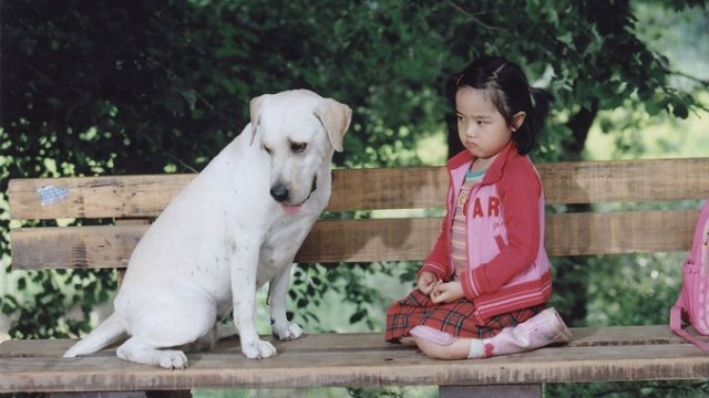 Film Korea. Dok: asianwiki