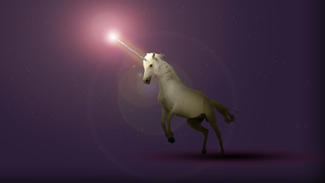 Ilustrasi Unicorn. Foto: Wild0ne from Pixabay