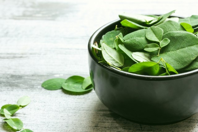 Ilustrasi daun kelor. Foto: Shutterstock