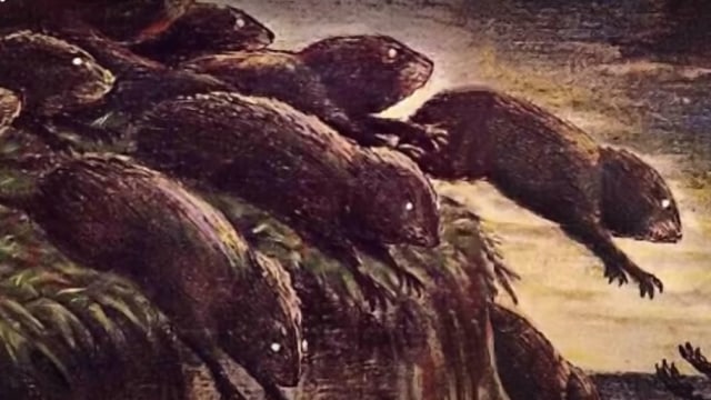 Ilustrasi Lemming Terjun dari Tebing. Foto: Screen Youtube Today I Found Out