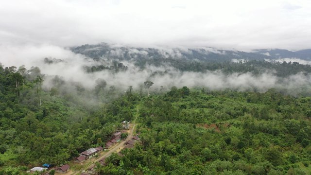 Kampung Lesten sebagai penyangga hutan Leuser, Aceh. Foto: HAkA 