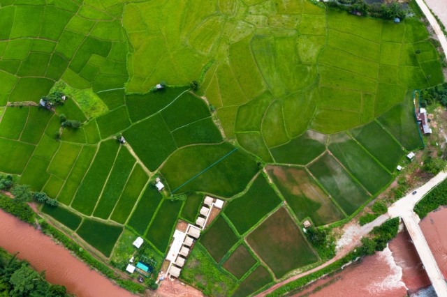 Ilustrasi wilayah. Foto: iStock