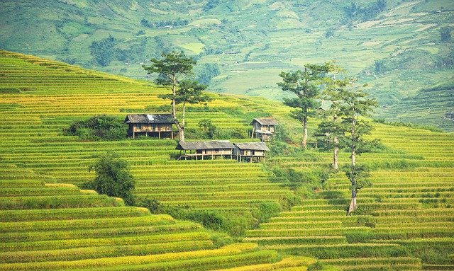 Ilustrasi Wilayah. Foto: Pixabay
