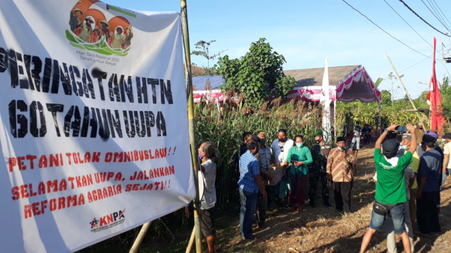 Suasana peringatan Hari Tani yang berlokasi di kebun sorgum di Buleleng, Bali - IST