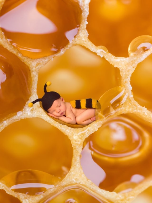 Bolehkah bayi minum madu? Foto: Shutterstock