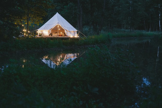 Ilustrasi glamping di Tangkahan Foto: Shutter Stock