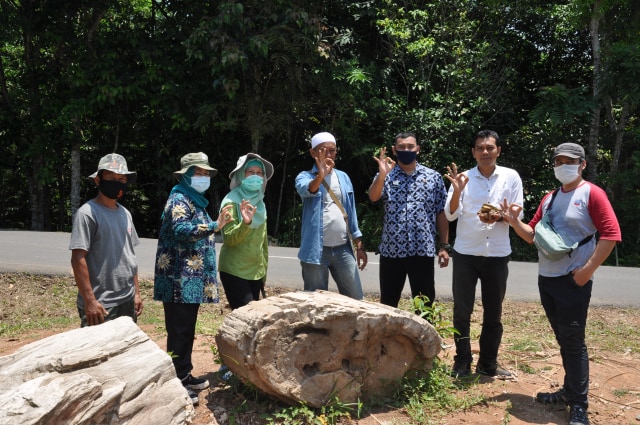 Salah satu fosil kayu bersifat in situ yang ditemukan di Kecamatan Sajira. (Dok. Bappeda Kabupaten Lebak)
