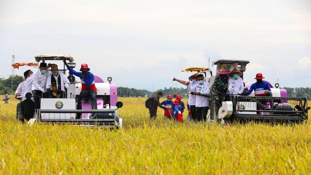 Mentan, Syahrul Yasin Limpo di acara panen raya musim tanam gadu di Gampong Tumbo Baroh, Kecamatan Kuta Malaka, Aceh Besar, Rabu, (30/9). Foto: Humas Pemprov Aceh