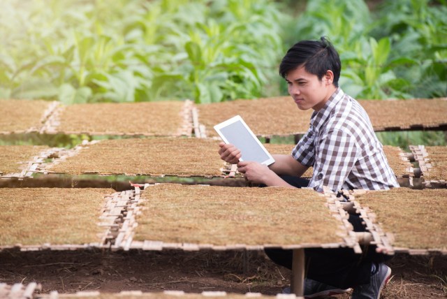 Pertanian digital. Foto: Shutterstock