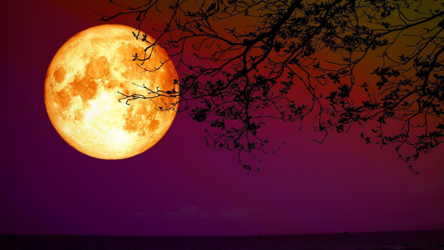 Full Moon (Sumber: Canva.com)