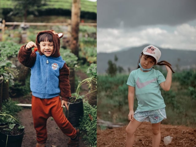 Kolase anak selebriti Gisella Anastasia dan Andien. Foto: Instagram @gisel_la @andienaisyah