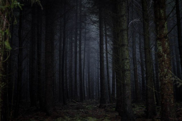 Ilustrasi Teror Lelembut Gunung Karang, Pendakian Selepas Magrib Part 3. Foto: Pixabay.