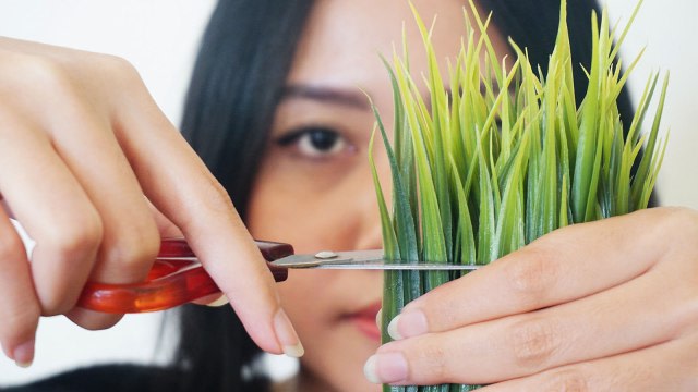 Ilustrasi mencukur bulu-bulu. Foto: Abil Achmad Akbar/kumparan