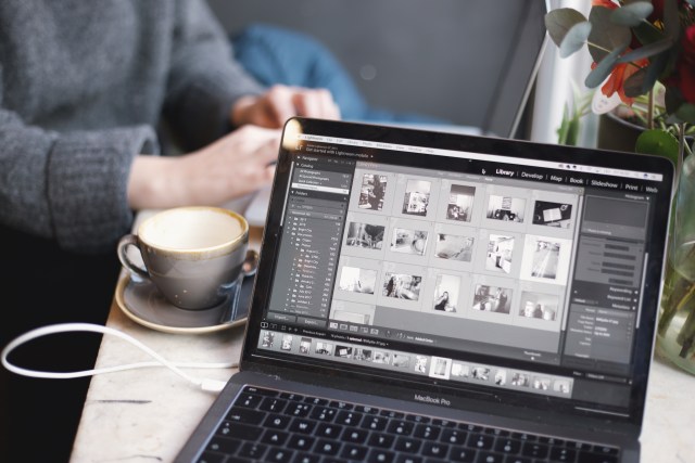 Ilustrasi mengecilkan ukuran foto di PC. Foto: Unsplash