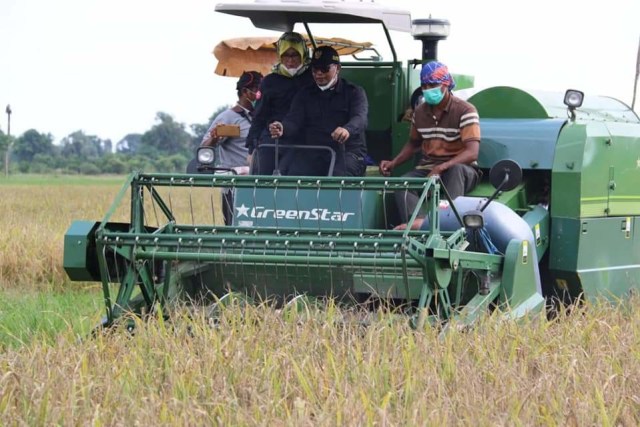 Plt Gubernur Kalteng Habib Ismail Bin Yahya saat mengikuti panen padi di lokasi Food Estate Kapuas, Sabtu (10/10).