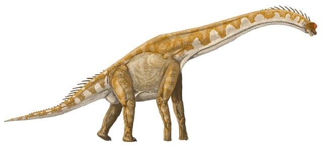 Dinosaurus dari genus sauropoda titanosauria. Foto: Dmitry Bogdanov via Wikimedia Commons