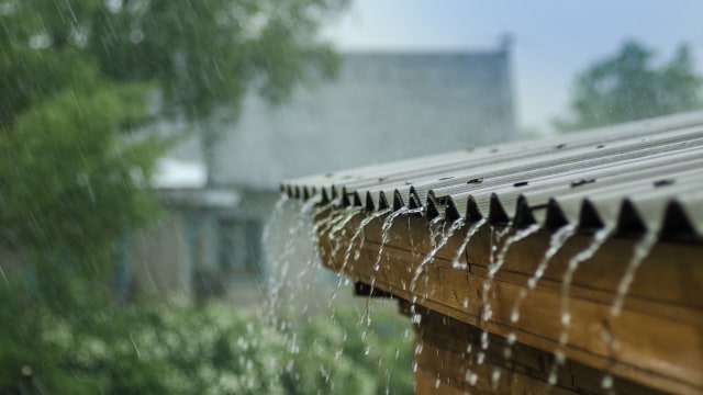 Ilustrasi Hujan. Foto: Shutterstock