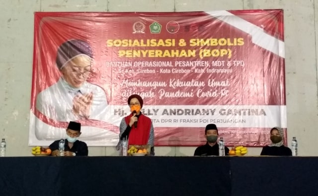 Anggota DPR RI, Selly Andriany Gantina. (Dok. Ciremaitoday)