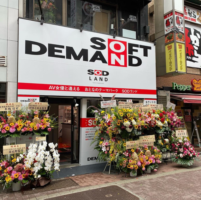 SOD Land, taman hiburan khusus dewasa di Jepang Foto: SOD