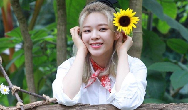 dok: instagram.com/twicetagram
