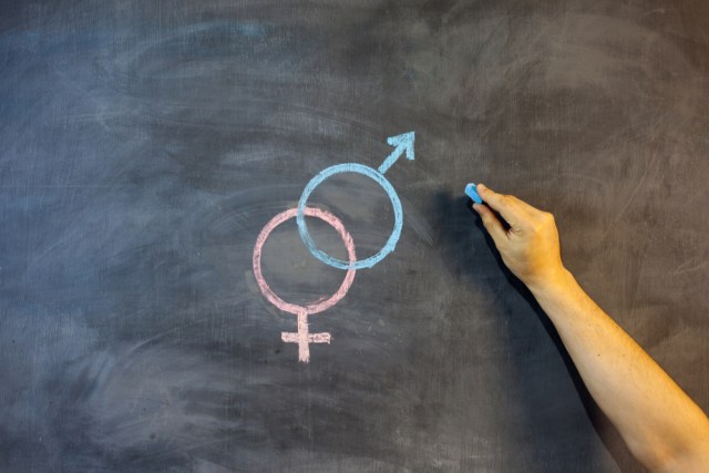 Ilustrasi pendidikan seks di papan tulis. Foto: Shutterstock