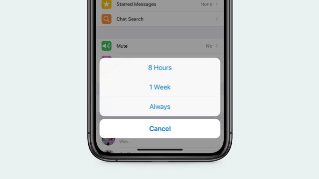 Fitur Mute WhatsApp. Foto: WhatsApp