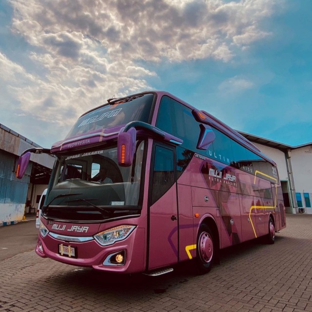 Bus baru PO Muji Jaya Putra Mandiri. Foto: dok. PO Muji Jaya Putra Mandiri