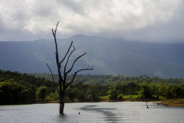 Pemandangan kawasan hutan lembaga adat desa Pa'au di pegunungan Meratus, Kalimantan Selatan. Foto:  Bayu Pratama S/ANTARA FOTO