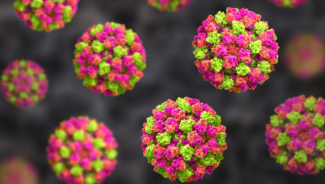 Coronavirus atau Norovirus?  Foto : foodsafetynews