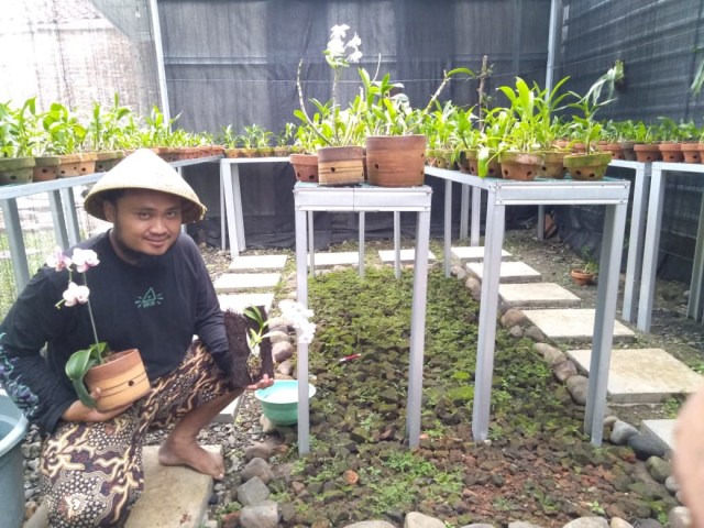 Bagus Dorojatun saat merawat tanaman anggrek di rumahnya.