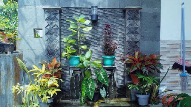 Foto pekarangan rumah salah satu warga desa Palasari.