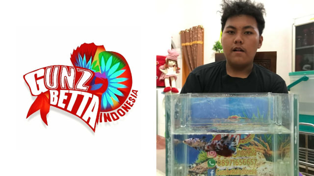 Gugun Abdillah (18) berfoto bersama sepasang ikan cupang hias miliknya.