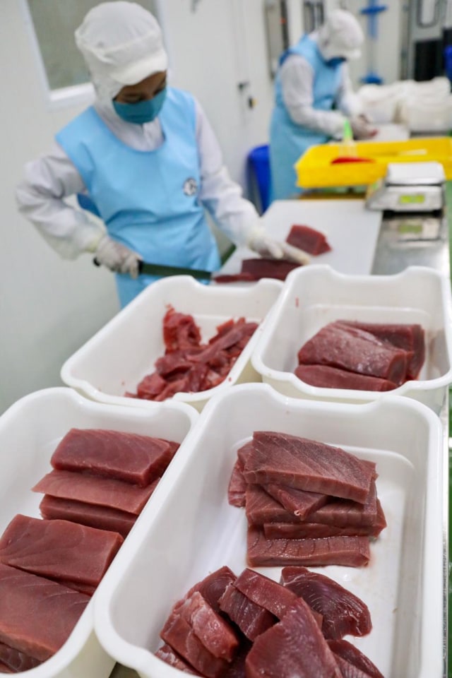 Proses pengolahan ikan tuna hasil tangkapan nelayan Aceh di PT Yakin Pasifik Tuna kawasan Lampulo, Banda Aceh, Kamis (29/10). Foto: Suparta/acehkini