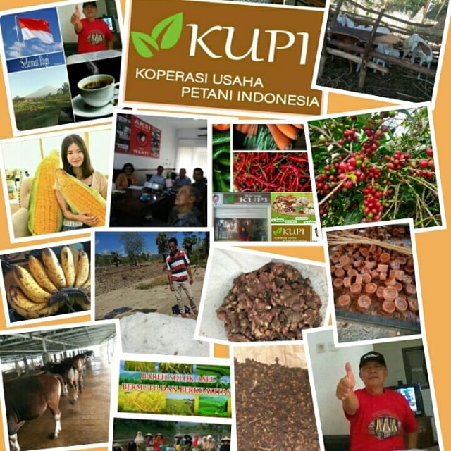KUPI. Foto: dok