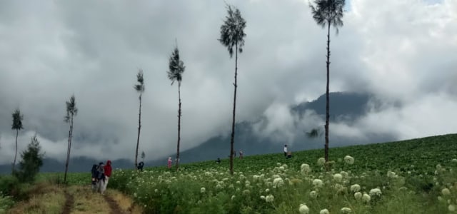 Lanskap Brakseng. Foto: Feni Yusnia