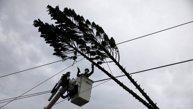 Petugas meotong dahan pohon yang tumbang ke jaringan listrik setelah dihantam angin kencang akibat badai tropis Eta di San Salvador, El Salvador, Rabu (4/11). Foto: JOSE CABEZAS/REUTERS