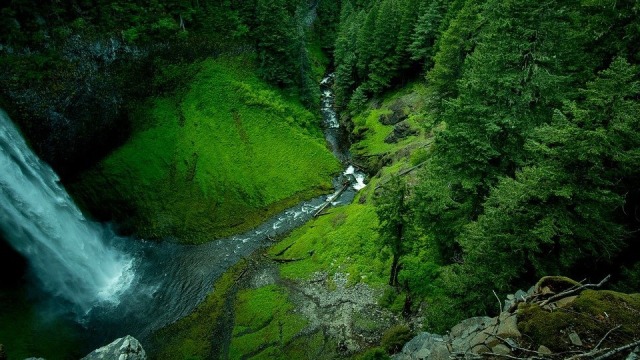 Ilustrasi Lingkungan Hutan dan Air Terjun. Foto: Pexels from Pixabay