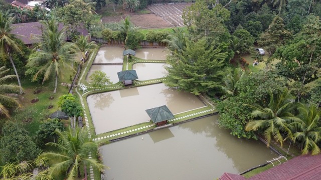 Pemandangan Saung Suka di Desa Sukabanjar Pesawaran dilihat dsri udara, Sabtu (7/11) | Foto : Dimas Prasetyo/Lampung Geh